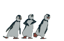 penguinsdancing.gif